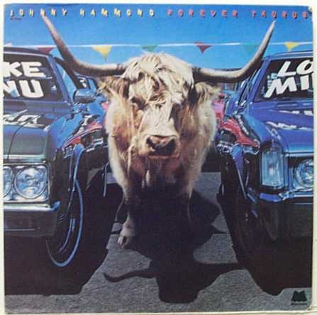Johnny Hammond ‎– Forever Taurus